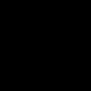 Meet your Posher, Ella